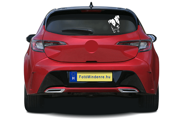 JRT matrica